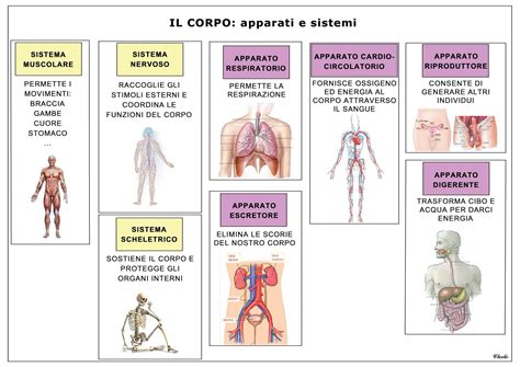 Schema che illustra la tripartizione dell'essere umano: Spirito, Anima e Corpo, in relazione alla condizione edenica e post-caduta.