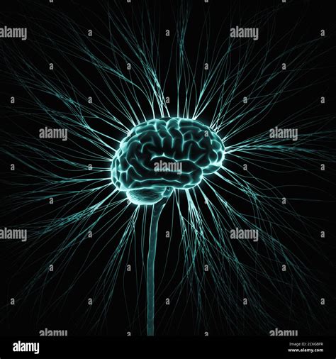 Illustrazione del cervello che elabora nuove informazioni