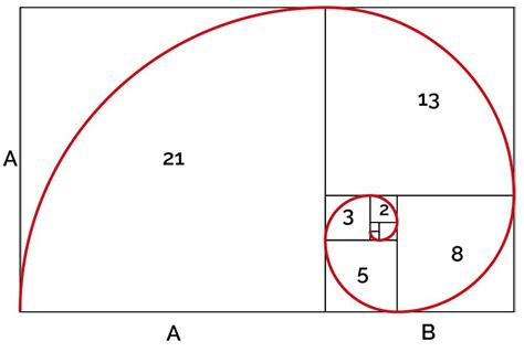 Schema della spirale aurea che definisce la struttura architettonica del santuario.
