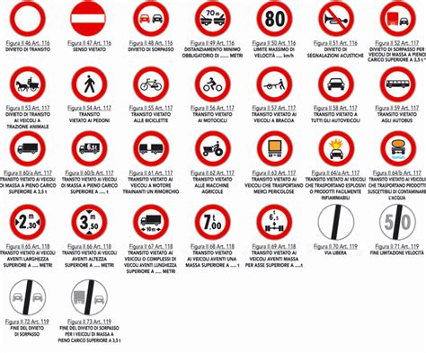 Infografica che illustra i segnali visivi di una pianta disidratata rispetto a una pianta sana