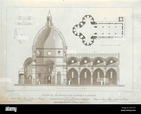 Sezione longitudinale della Cattedrale di Ravenna nel XVIII secolo