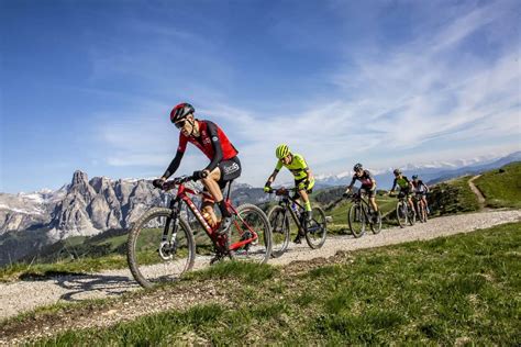 Ciclisti in escursione su un sentiero panoramico in Umbria vicino Spello