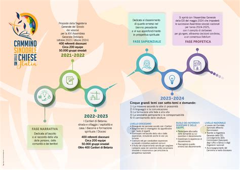 infografica delle tre fasi del processo sinodale