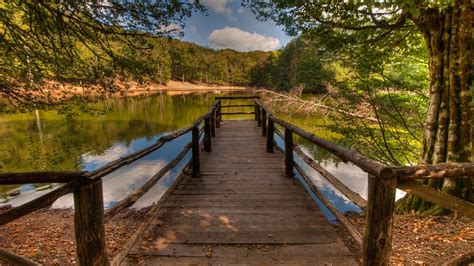 Percorso naturalistico all'interno della Foresta Umbra, Parco Nazionale del Gargano
