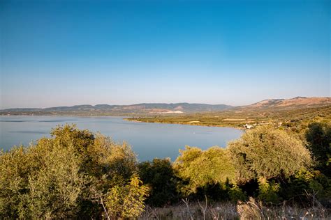 Paesaggio del Lago di Varano con vegetazione e uccelli