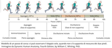 Schema grafico che illustra il cammino dal deserto alla vetta del monte come metafora della vita spirituale