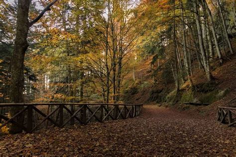 Veduta panoramica dell'Agriturismo Eremo Montemezzano immerso nel Parco delle Foreste Casentinesi