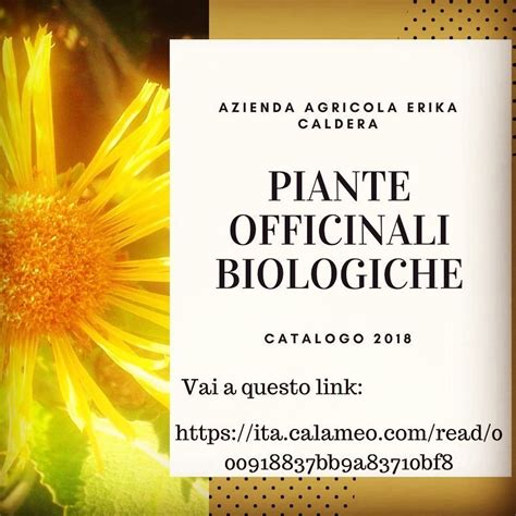 Infografica: Processo di raccolta e certificazione delle piante officinali biologiche in Zadrima