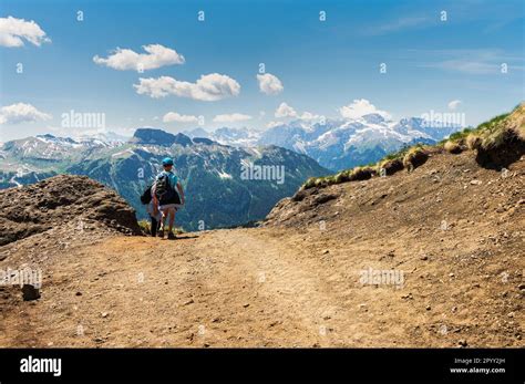 paesaggio montano con sentiero