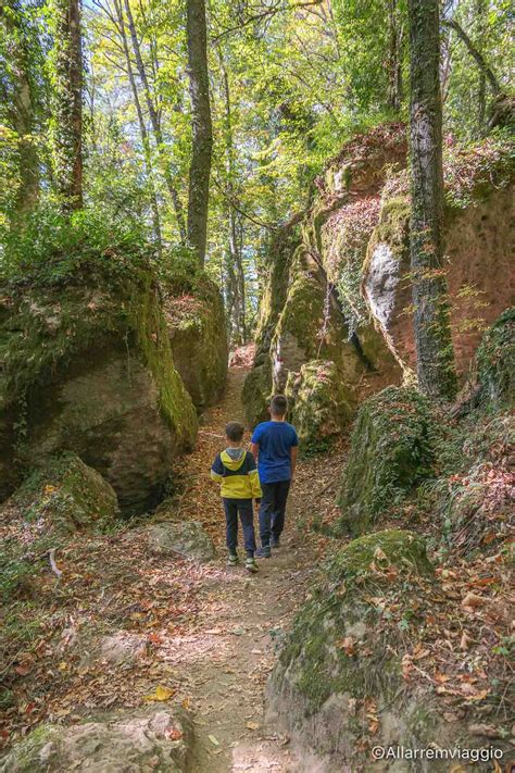 Sentiero nel Bosco delle Fate con rocce ricoperte di muschio