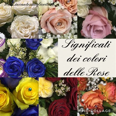 Infografica sui significati simbolici dei diversi colori delle rose