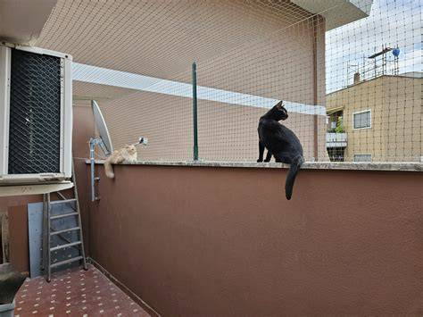 Foto di un eremita in un contesto urbano, magari in un giardino o sul balcone di un appartamento