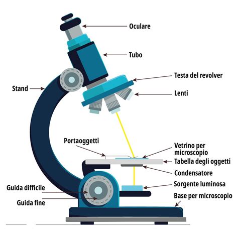 Microscopio ottico per l'analisi istopatologica