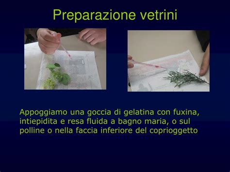 Preparazione di vetrini citologici in laboratorio