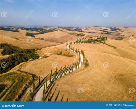Paesaggio della Valdaso con campi di grano e borghi