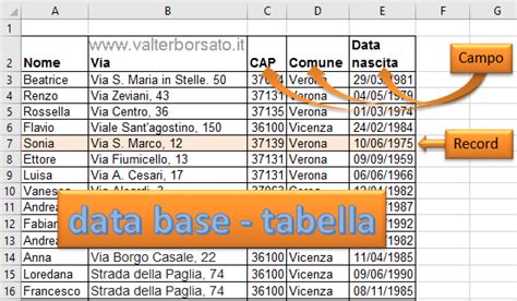 Schema di un database record per un battesimo, mostrando i campi di dati
