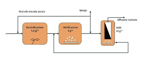 Schema delle tecniche di depurazione extracorporea utilizzate nella gestione del trauma maggiore