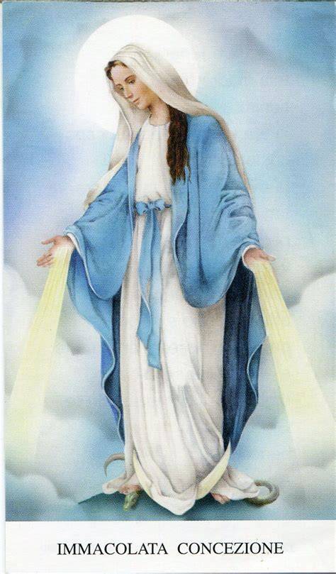 Dipinto dell'Immacolata Concezione di Maria