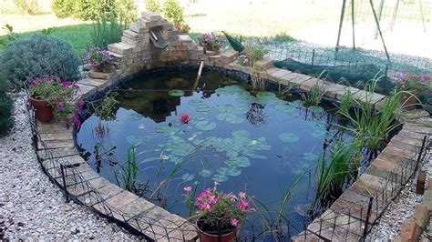 Schema di un laghetto con pesci rossi, evidenziando possibili fonti di stress o tossicità (es. decomposizione foglie, qualità acqua).