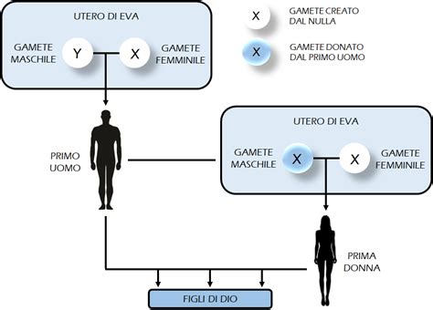 schema della creazione mediata secondo Don Guido Bortoluzzi