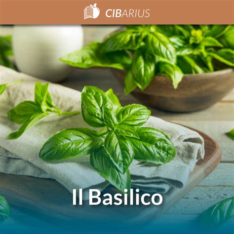 Infografica sulle proprietà nutrizionali del basilico