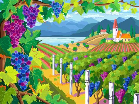 Illustrazione di una vigna di Grignolino o Malvasia, con le colline del Monferrato sullo sfondo