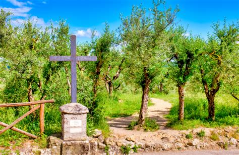 Inforgrafica con i cammini religiosi italiani percorribili in bici