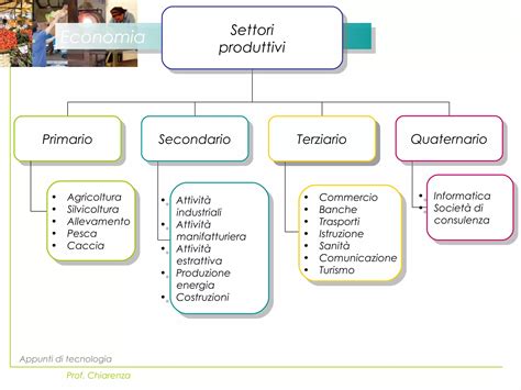 Schema grafico che riassume le virtù principali di Santa Marta