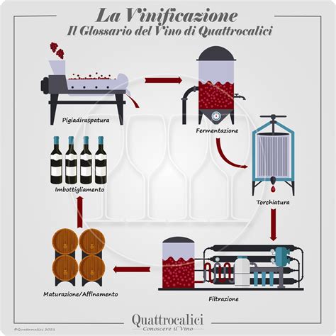Schema del processo di appassimento e vinificazione del Moscato di Saracena