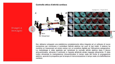 infografica sull'importanza della defibrillazione precoce e il tempo critico per l'intervento