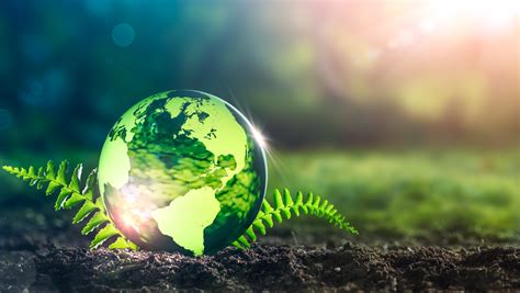 Illustrazione o foto che rappresenti l'ecologia integrale e la sostenibilità