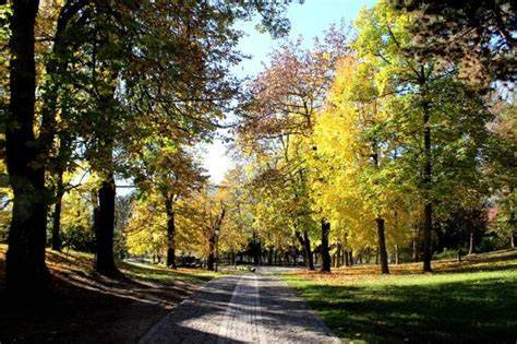 Foto panoramica del Parco della Pieve a Cavalese con tigli secolari