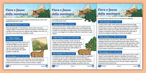Infografica sulla flora e fauna tipiche della zona fluviale e boschiva del Fosso dell'Eremo
