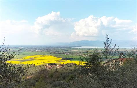 Vista panoramica di Campofranco con il suo territorio collinare e il fiume Platani in lontananza.