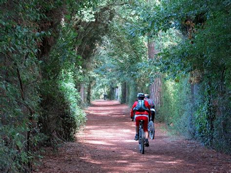 Sentiero immerso nella natura della Riserva Naturale Abbadia di Fiastra, con persone in bicicletta