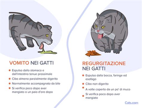 Infografica che spiega la differenza tra rigurgito (cibo non digerito dall'esofago) e vomito (cibo parzialmente digerito dallo stomaco, con conati).