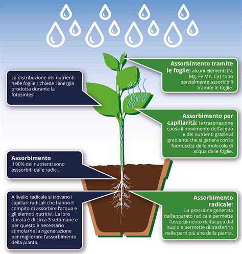 Infografica: confronto tra ambiente con solo assorbimento e ambiente con assorbimento e diffusione acustica