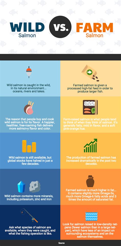 Infografica comparativa tra il significato simbolico della palma e dell'ulivo