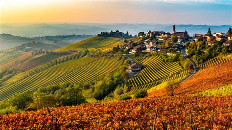 Paesaggio delle Langhe con vigneti e cascina in collina