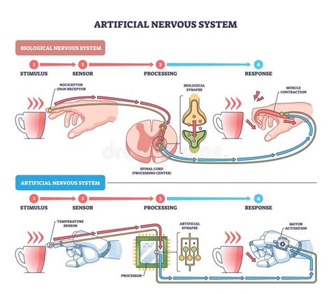Diagramma che confronta il corretto uso dell'EMDR con un uso improprio