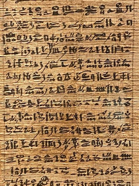 Immagine di manoscritti antichi con caratteri di diverse lingue