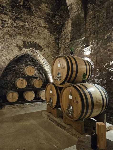 cantine storiche di Magomadas con degustazione di Malvasia e prodotti tipici