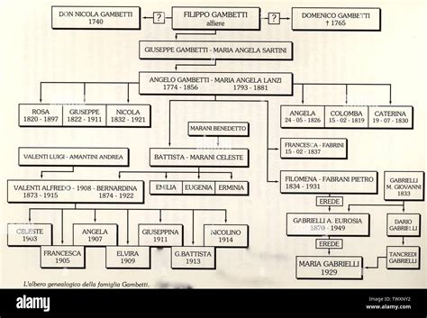 Albero genealogico della famiglia di Maria Teresa