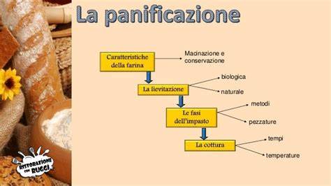 Processo di preparazione del pane e del vino