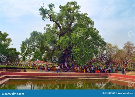 Nascita di Siddhartha sotto l'albero di Sal a Lumbini