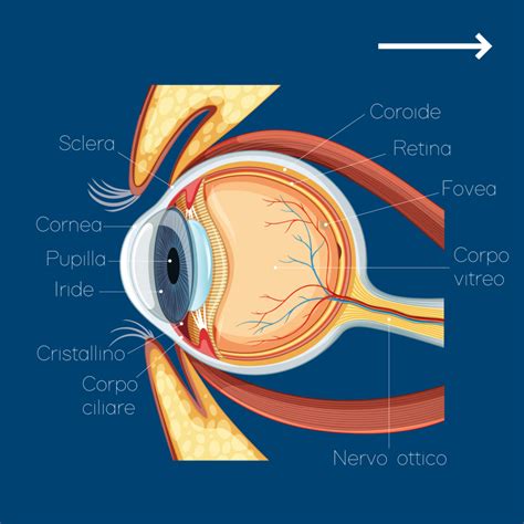 illustrazione simbolica di occhi bendati e poi aperti, mostrando un percorso dalla cecità alla visione chiara