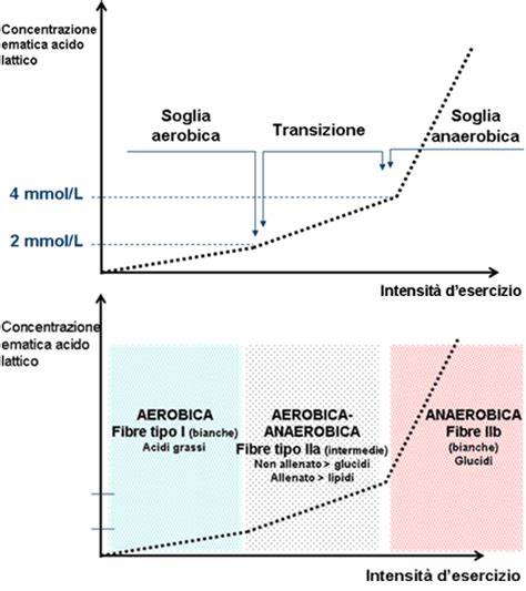 Grafico risultati test cardiopolmonare con parametri V02 max e soglia anaerobica