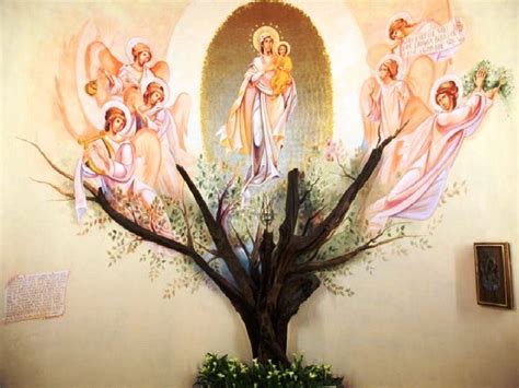 illustrazione delle apparizioni mariane o immagine della Madonna della Quercia