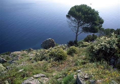 Foto della Roccia Laolatra con la tipica vegetazione mediterranea