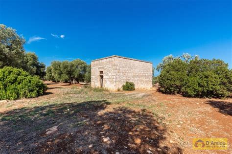 Foto di Masseria Uccio con i suoi uliveti